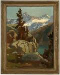 Pine Tree In A Sierra Landscape