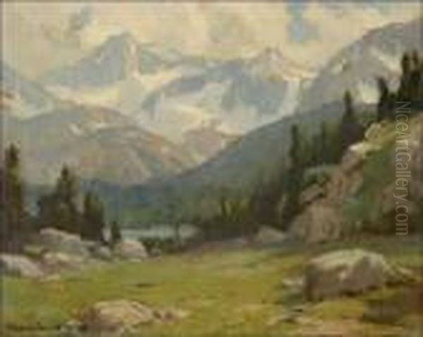 A Mountain Meadow - view 1