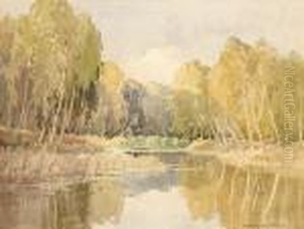 River Reflections - view 1