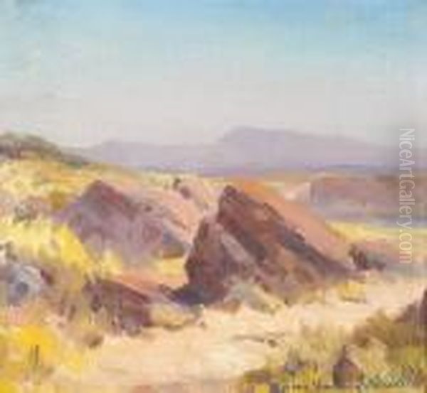 An Expansive Landscape With Boulders Near A Path - view 1