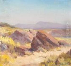 An Expansive Landscape With Boulders Near A Path