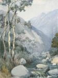 Arroyo Arroyo