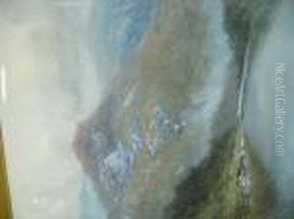 New Zealand Landscape - view 1