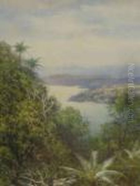 Safe Harbour, South Pacific - view 1