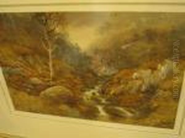 Near Woollamari Creek - view 1