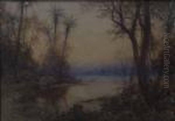 A Mangroveswamp - view 1