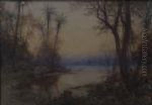 A Mangroveswamp by William Joseph Wadham