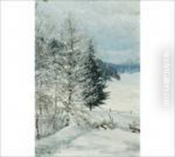 Winter Landscape - view 1