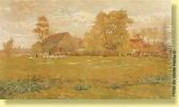 Troupeau De Moutons Devant La Ferme - view 1