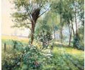 Zomerlandschap Met Veldbloemen Zomerlandschap Met Veldbloemen