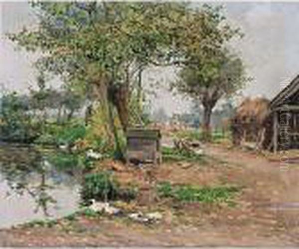 Ducks Near A Pond - view 1