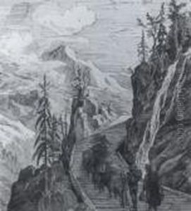 In Den Tiroler Alpen