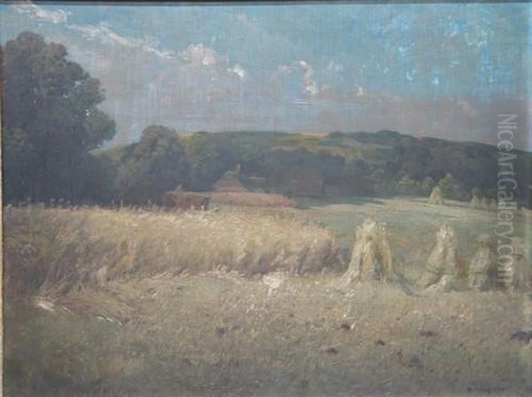 Getreidefeld - view 1