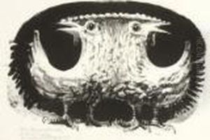 "das Doppelhuhn. Kind Mit Schaf". 1959 by Siegfried Wagner