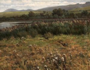 Landskap Med Lyftande Ander by Alfred Wahlberg