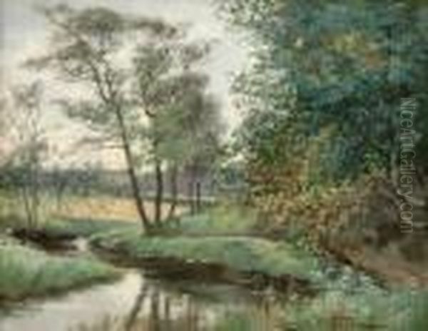 Sommarlandskap - view 1