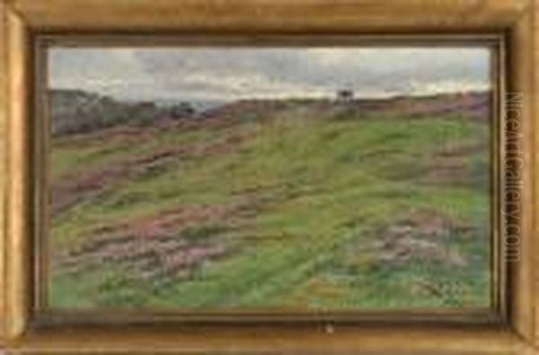 Kustlandskap - view 1