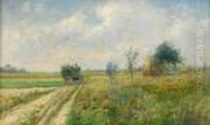 Blommande Vallmofalt - Motiv Fran Frankrike