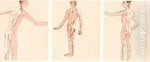 A Young Male Figure In Tonal Pink