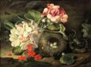 A Still Life Of Blossom And A Bird's Nest