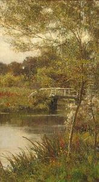 Summer- A Bridge Over A Stream - view 1