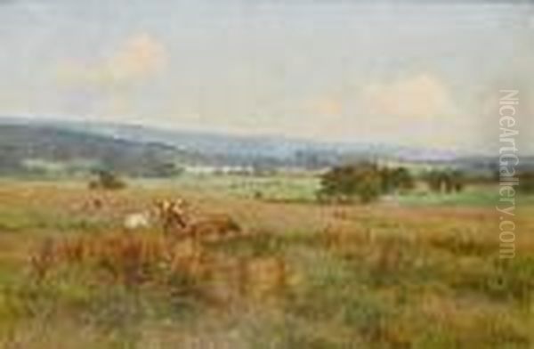 Cattle In A Meadow - view 1