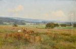 Cattle In A Meadow Cattle In A Meadow