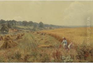 Picking Poppies In Flower-fringed Fields by Edward Wilkins Waite