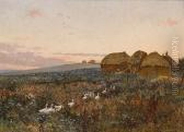 Geese In A Field - view 1