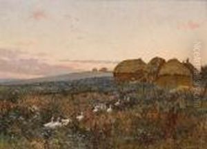 Geese In A Field