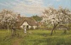 In The Orchard