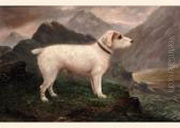 A Terrier In A Highland Landscape - view 1