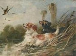 Springer Spaniels Flushing A Mallard by William Walker