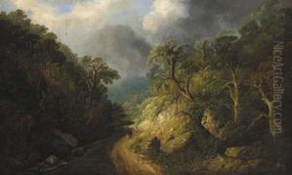 Scene In The Glen Of The Downs - view 1