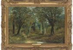 A Path Through The Woods by John Wallace