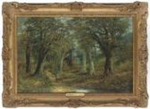 The Path Through The Woods by John Wallace