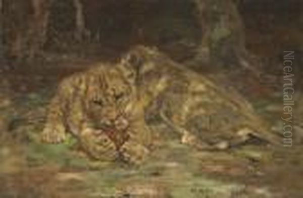 Lion Cubs - view 1