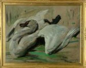 A Study Of A Swan by William Walls