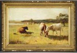 Cattle Grazing Cattle Grazing