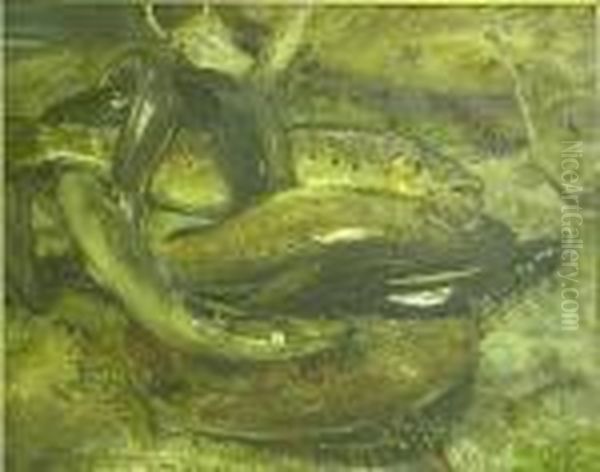 Trout And Eels - view 1
