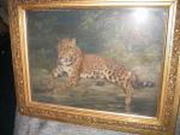 A Leopard - view 1