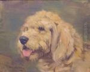 Head Of An Otterhound
