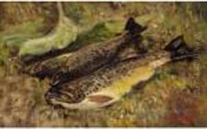 Brown Trout by William Walls