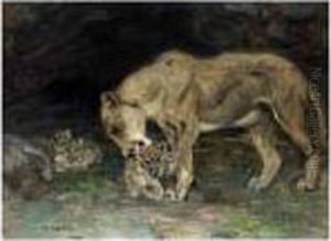 Safe Shelter