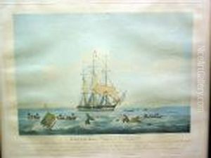 South Sea Whale Fishery by Thomas Walmsley