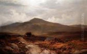 On The Moorlands Above Trefriw, North Wales