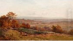 Autumn On The Surrey Hills