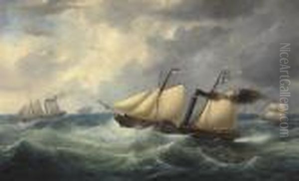Paddle Steamers In Turbulent Waters - view 1