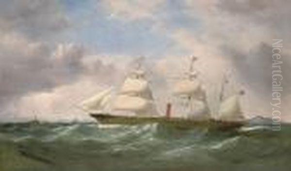 The Iron Screw Steamer
African
In-bound For Liverpool,calling For A Pilot Off The Skerries, Anglesey - view 1