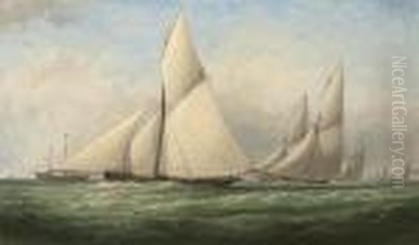 Big-cutters Racing Off The - view 1